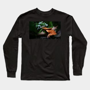 Mushrooms and White Catmint Flowers Long Sleeve T-Shirt